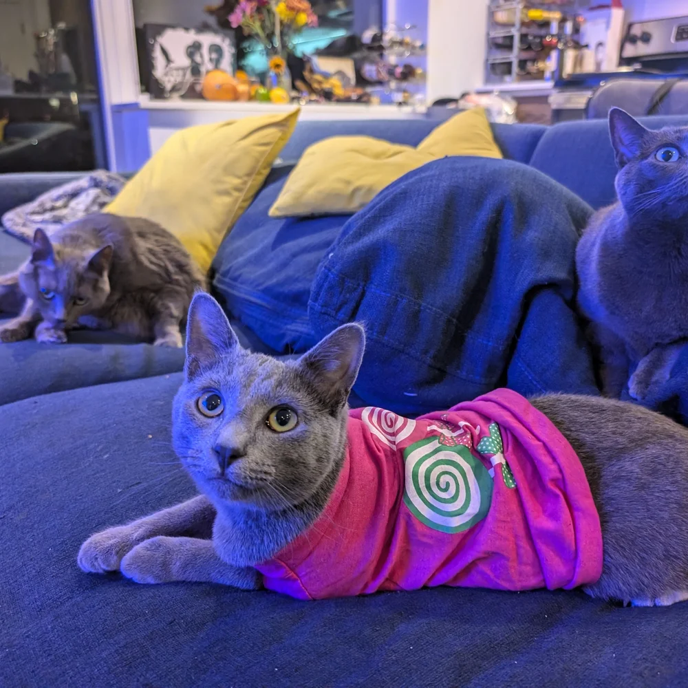 Pink Cat T-Shirt